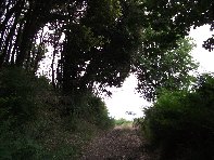 ntrada Ilice-20100530 028